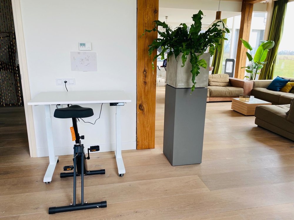 Elektrisch Zit Sta Bureau Studydesk 80 215 60 Cm