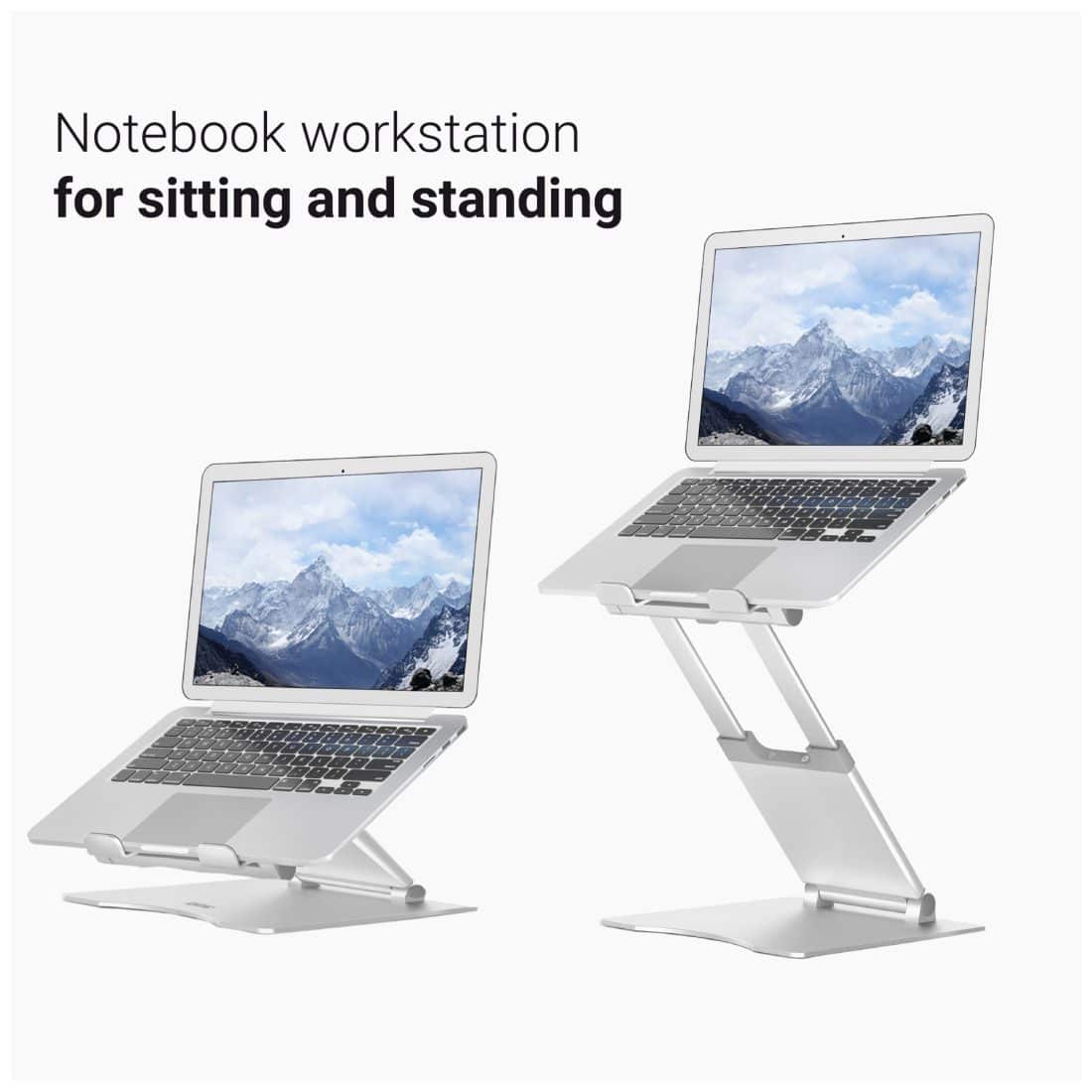 Laptop Standaard Desq 1511