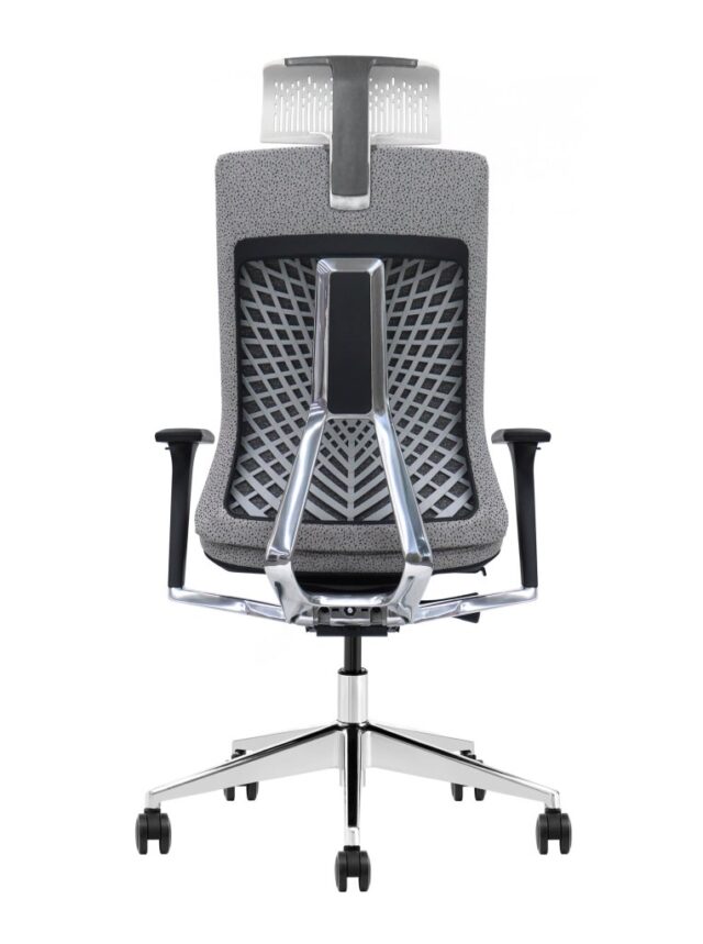 Ergolux Pro Ergonomische Bureaustoel Met Premium Ondersteuning